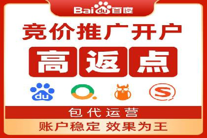 SEM代理案例：揭秘成功背后的秘密